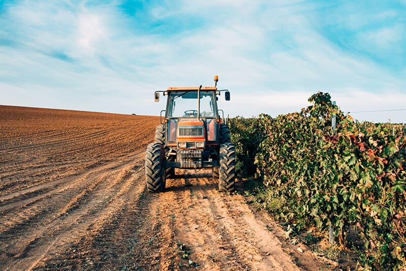 tractor-vineyard.jpg